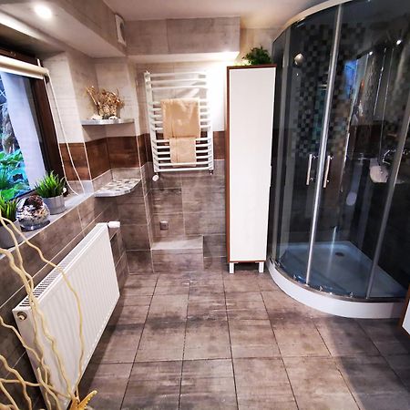 Apartament Aldi Bielsko-Biała Ngoại thất bức ảnh